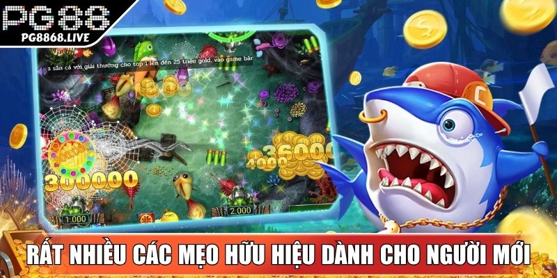 Rất nhiều các mẹo hữu hiệu dành cho người mới
