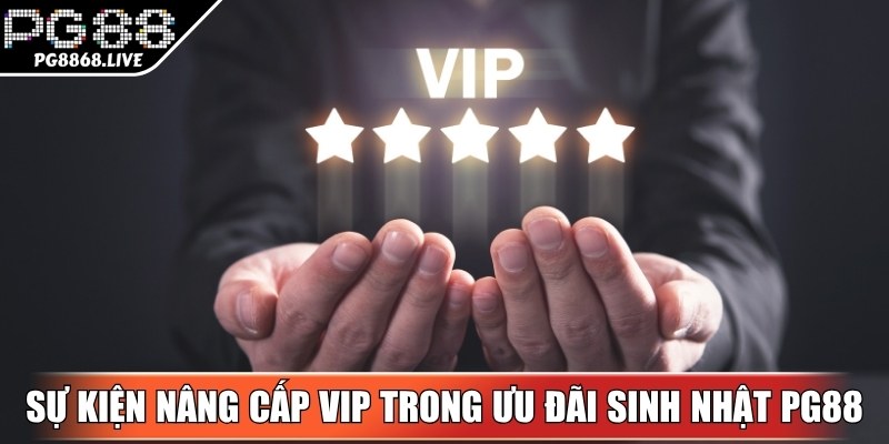 Sự kiện nâng cấp VIP nhận ưu đãi sinh nhật PG88 gấp đôi